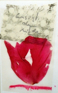 Taschenkunstbild rote Tulpe